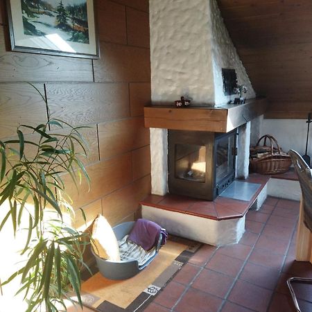 Aussergewoehnliche Atelierferienwohnung Mit Balkon An Der Donau Winzer Exteriér fotografie