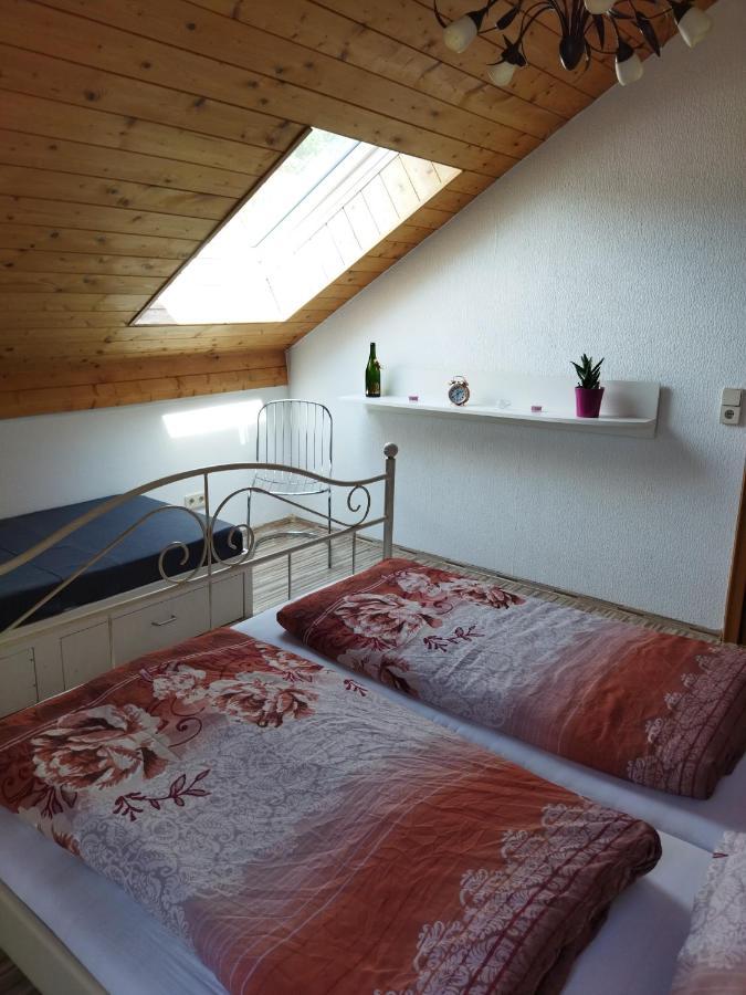 Aussergewoehnliche Atelierferienwohnung Mit Balkon An Der Donau Winzer Exteriér fotografie