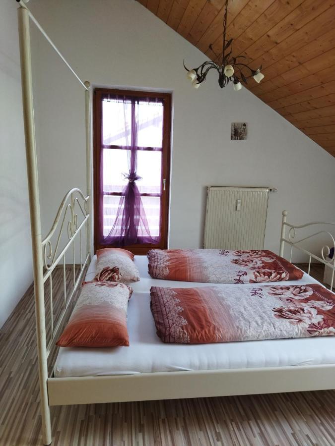 Aussergewoehnliche Atelierferienwohnung Mit Balkon An Der Donau Winzer Exteriér fotografie