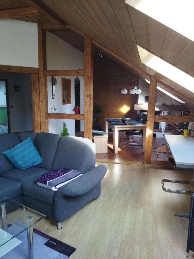 Aussergewoehnliche Atelierferienwohnung Mit Balkon An Der Donau Winzer Exteriér fotografie