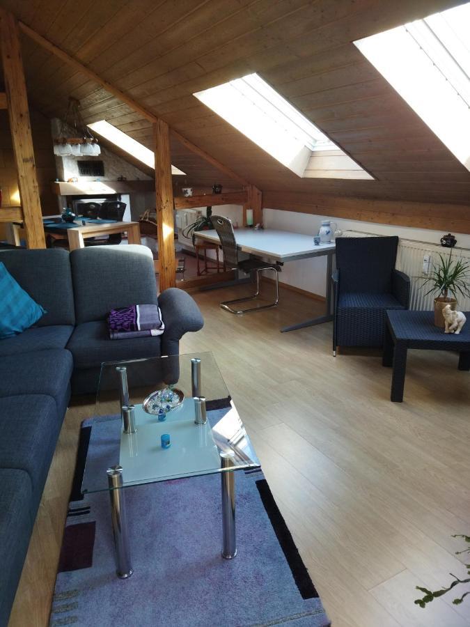 Aussergewoehnliche Atelierferienwohnung Mit Balkon An Der Donau Winzer Exteriér fotografie