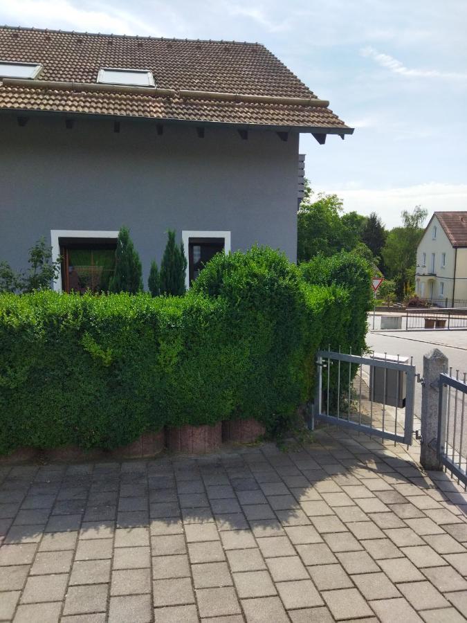 Aussergewoehnliche Atelierferienwohnung Mit Balkon An Der Donau Winzer Exteriér fotografie