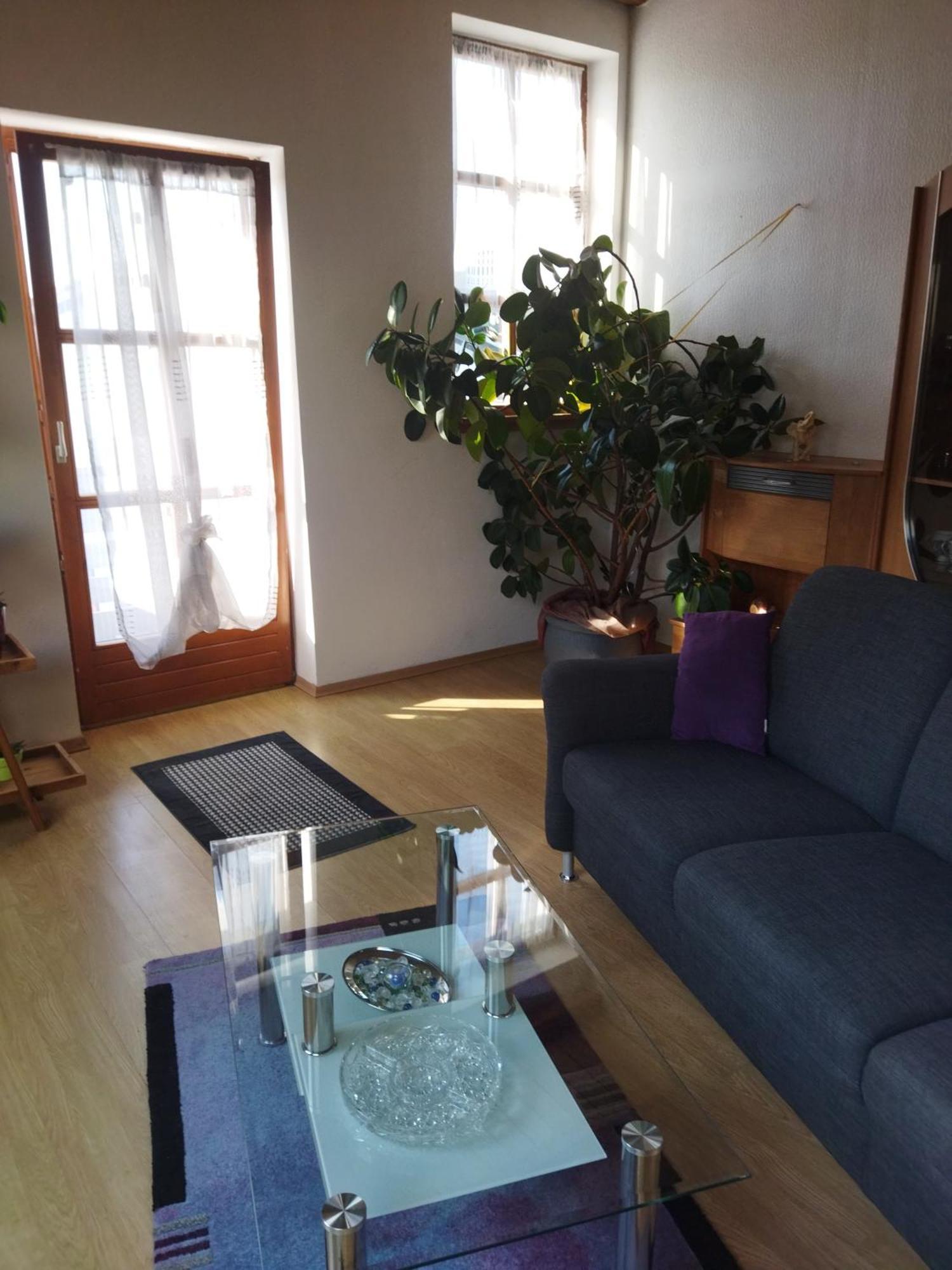 Aussergewoehnliche Atelierferienwohnung Mit Balkon An Der Donau Winzer Exteriér fotografie
